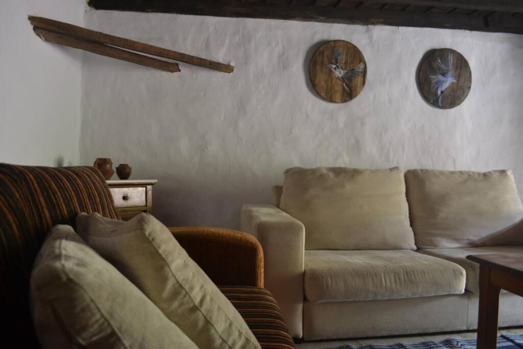 Casa Rural Lomito Del Pino Крус-де-Техеда Экстерьер фото