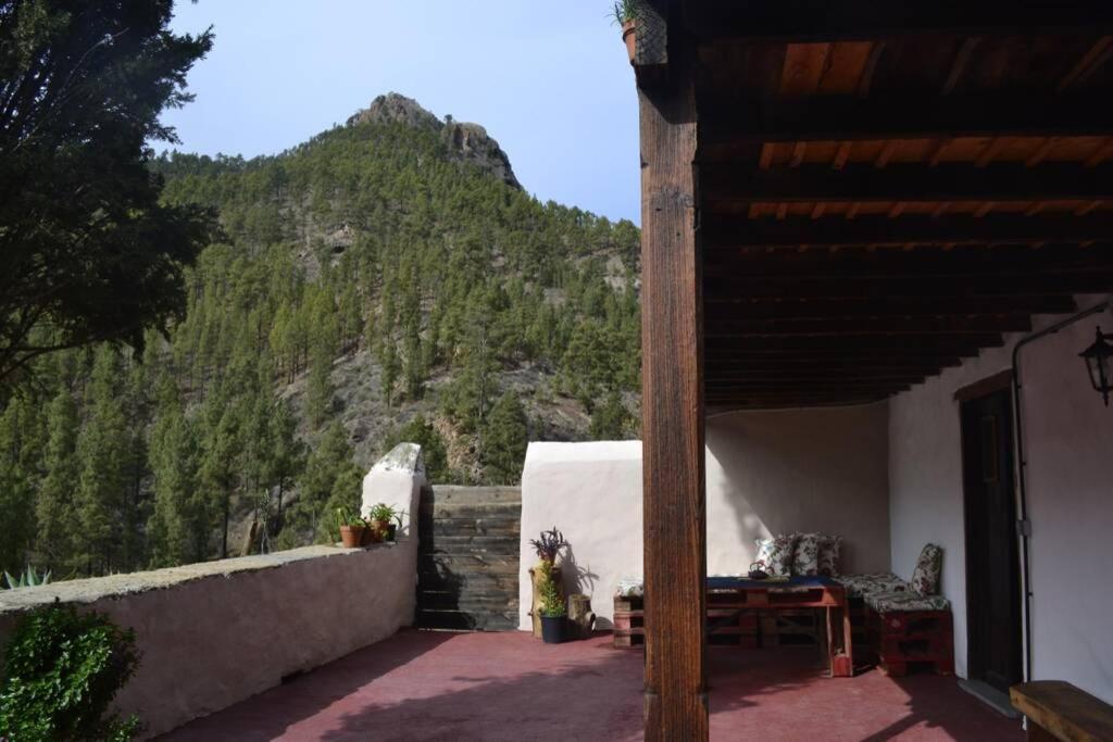 Casa Rural Lomito Del Pino Крус-де-Техеда Экстерьер фото