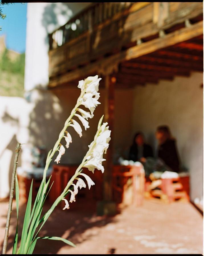 Casa Rural Lomito Del Pino Крус-де-Техеда Экстерьер фото