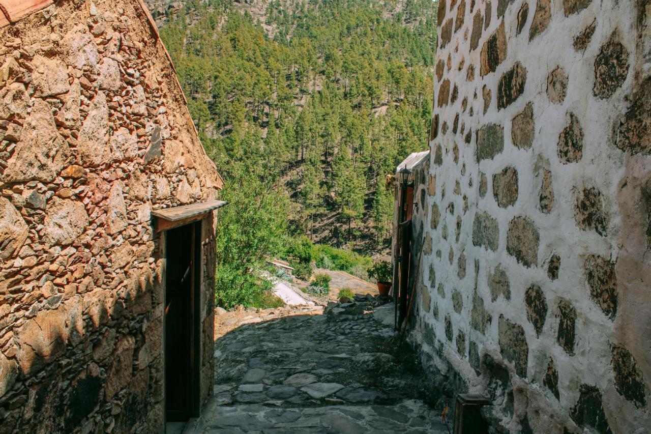 Casa Rural Lomito Del Pino Крус-де-Техеда Экстерьер фото